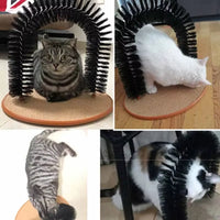 Cuatro gatos distintos usando el arco en casa de sus dueños