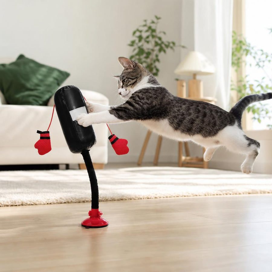🌟 Por qué le encantará a tu mascota