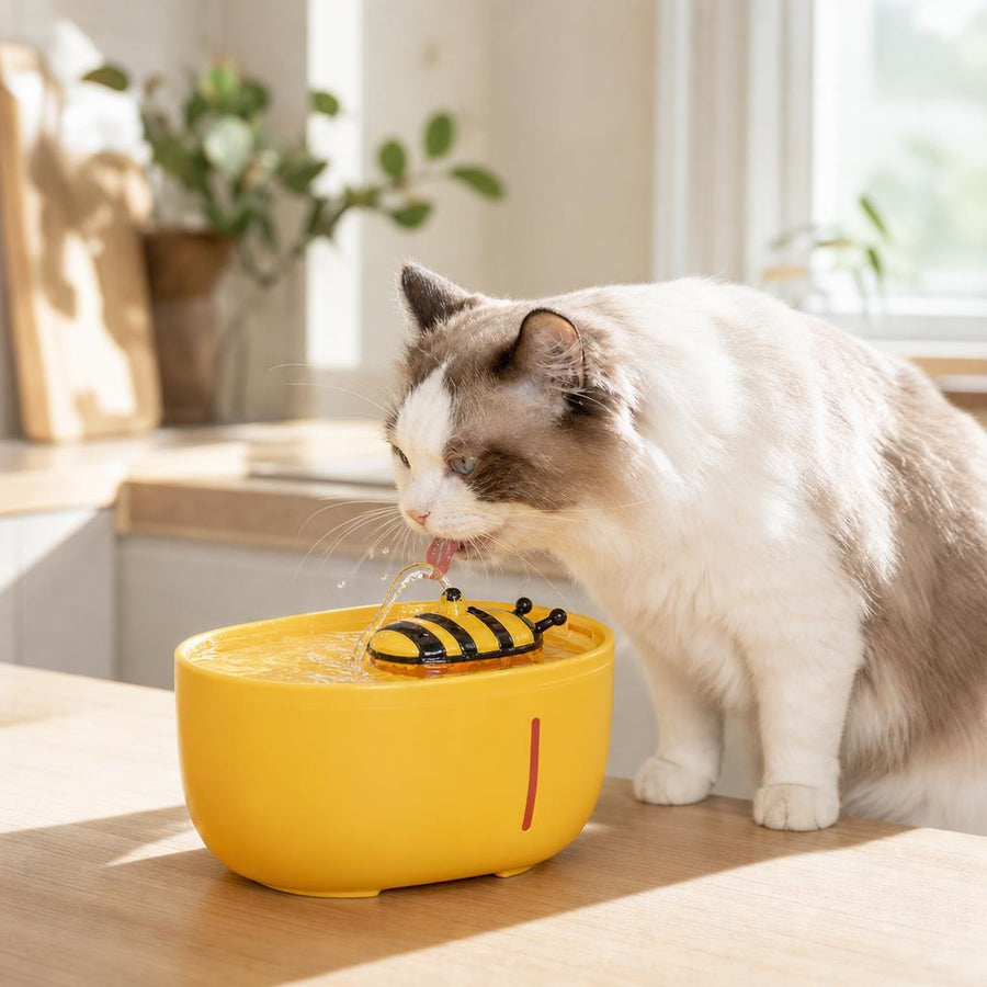 🌟 Por qué le encantará a tu mascota