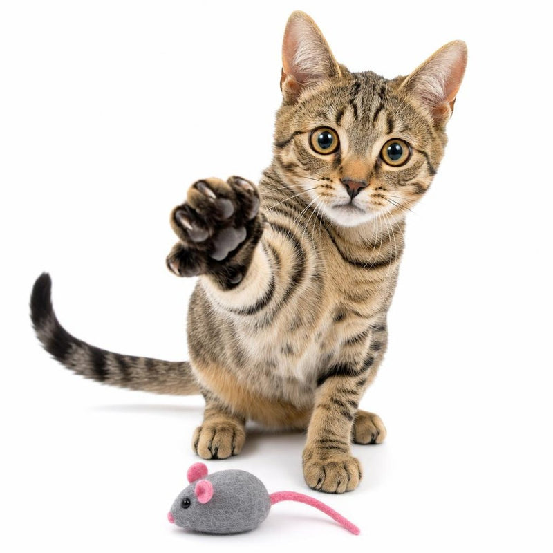 Para gatos