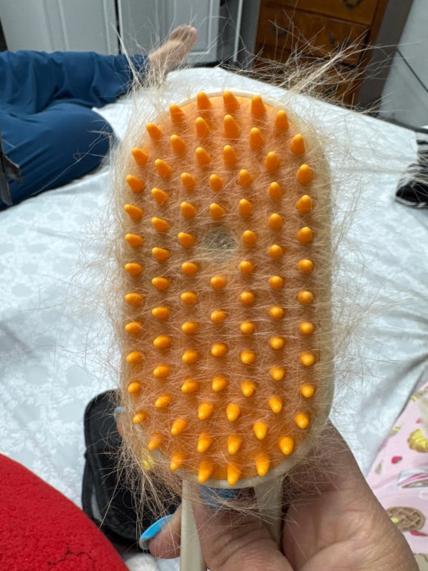 Foto de Y***z
